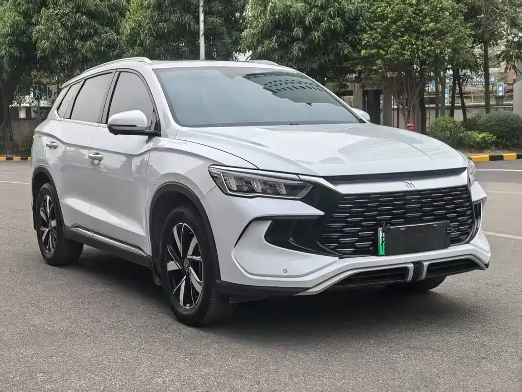 BYD Pro New Energy — фото 5