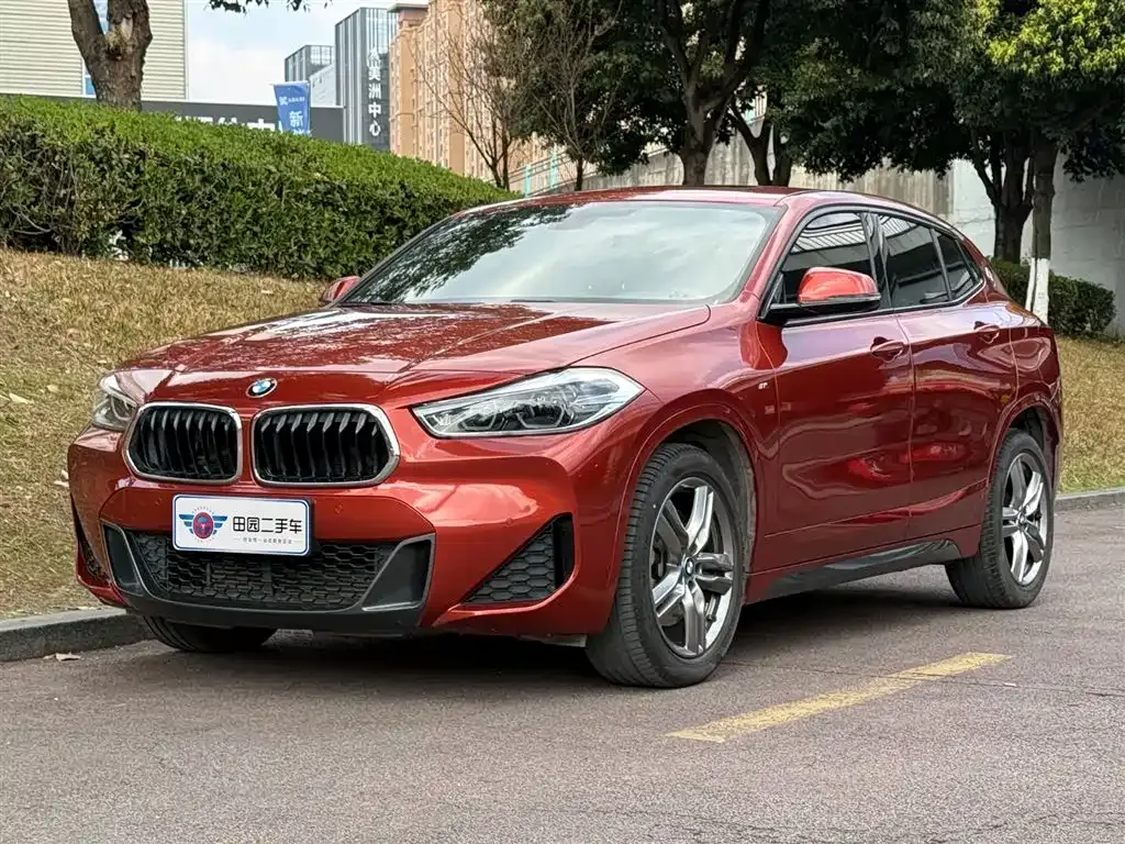 BMW X2 2021 из CN, фото 1