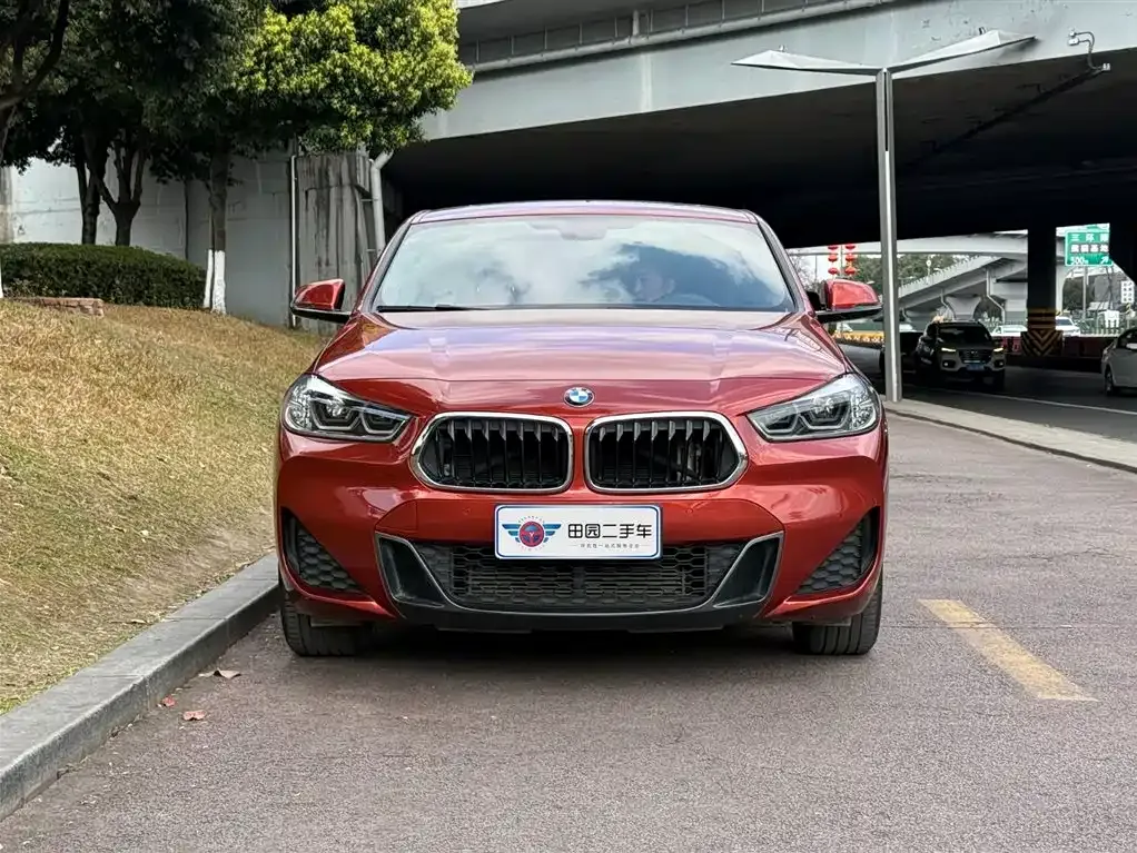 BMW X2 2021 из CN, фото 3