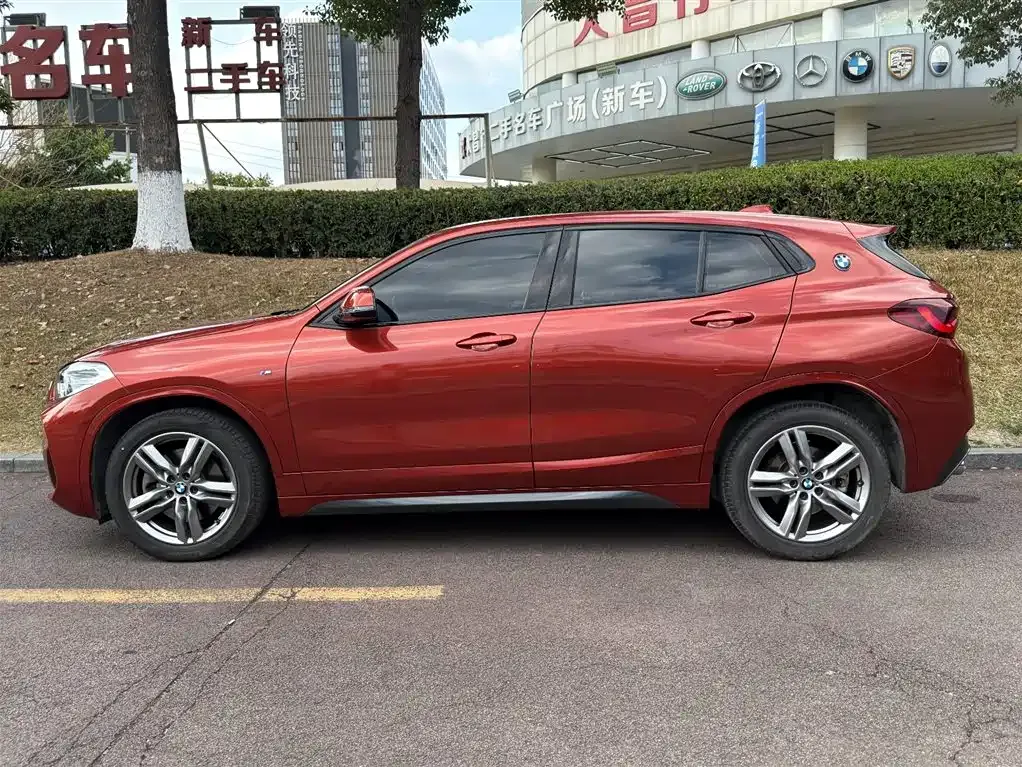 BMW X2 2021 из CN, фото 7