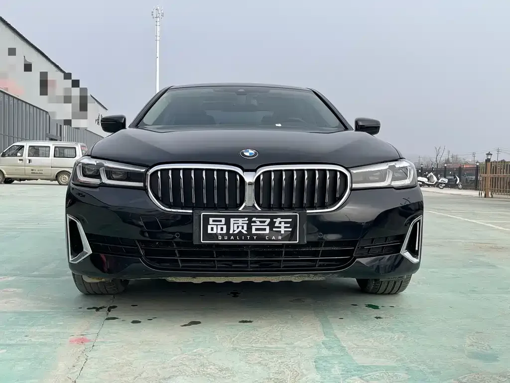 BMW 5 Series New Energy 2021 из CN, фото 5