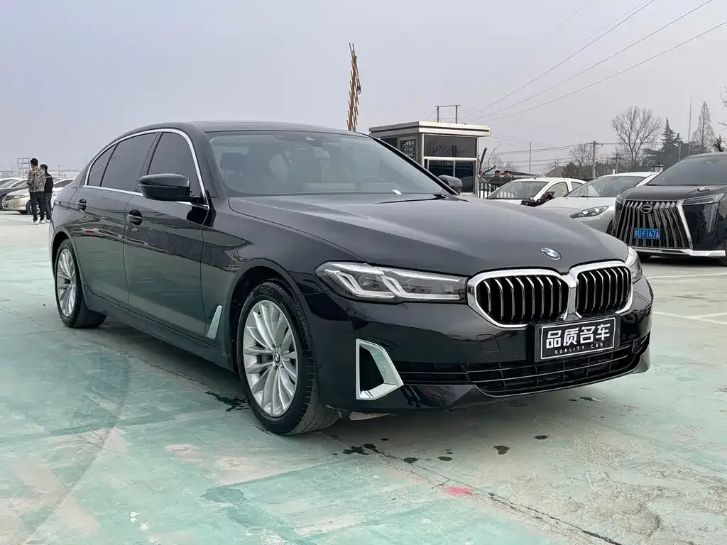 BMW 5 Series New Energy 2021 из CN, фото 4