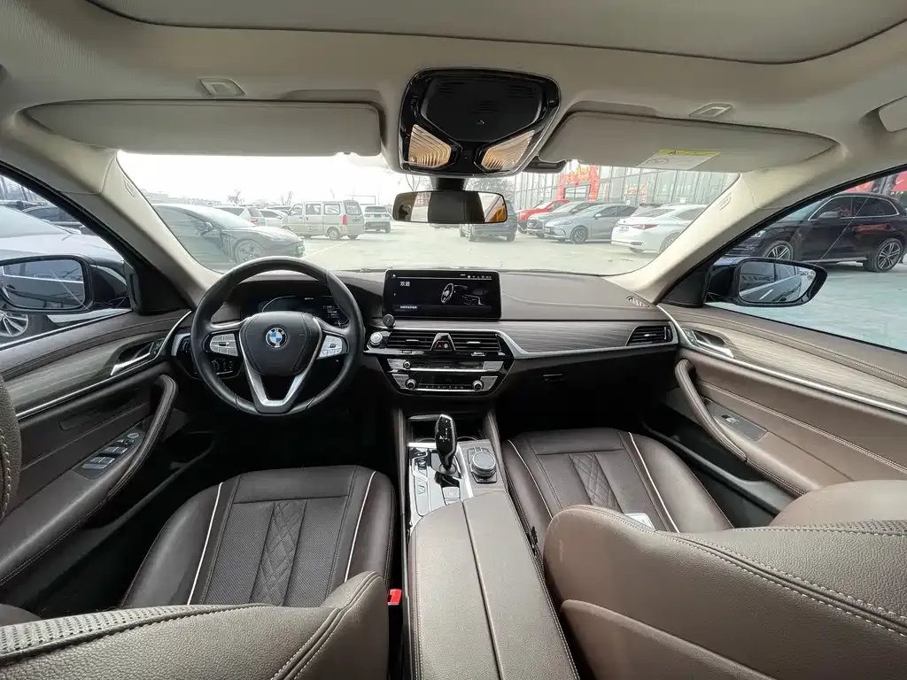 BMW 5 Series New Energy 2021 из CN, фото 6