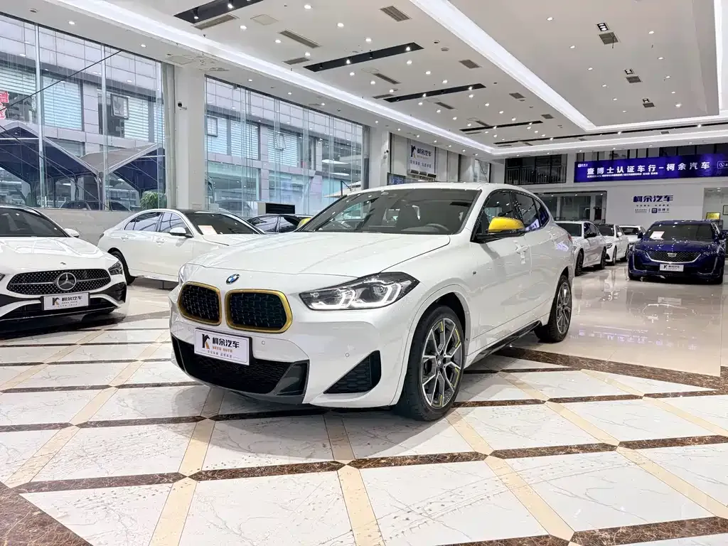 BMW X2 2023 из CN, фото 8