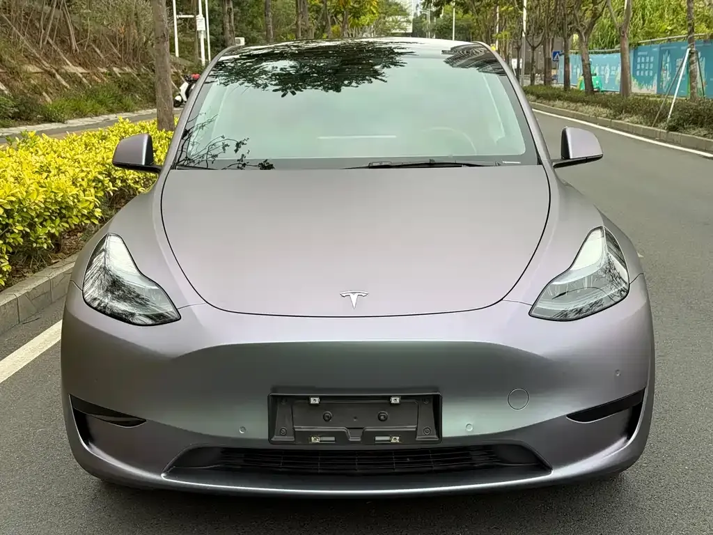 Tesla Model Y — фото 8