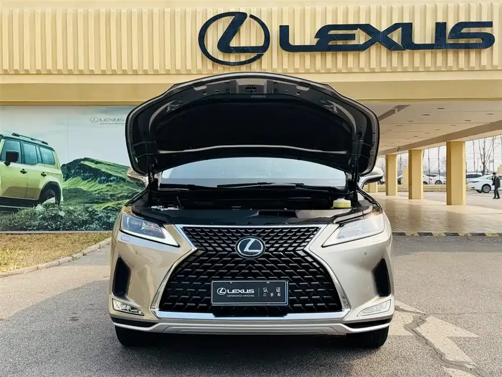 Lexus RX 2022 из CN, фото 6