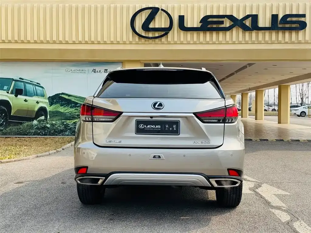 Lexus RX 2022 из CN, фото 4