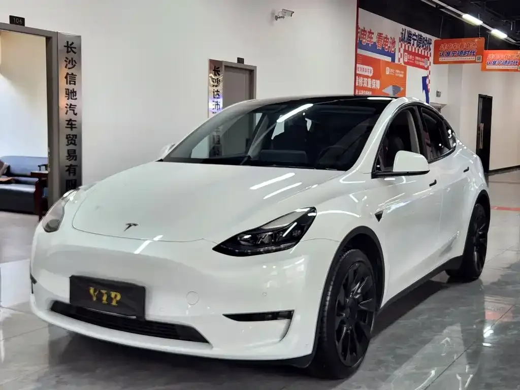 Tesla Model Y — фото 1