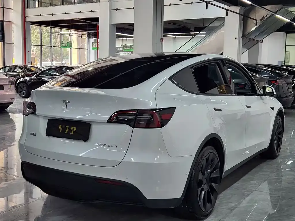 Tesla Model Y — фото 8