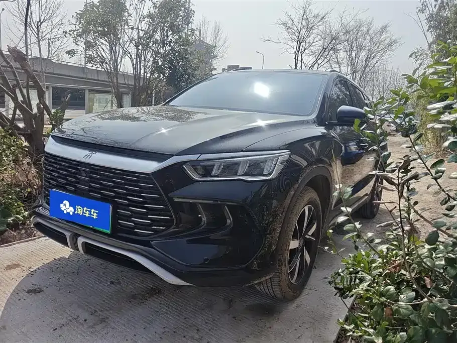 BYD Pro New Energy 2024 из CN, фото 1