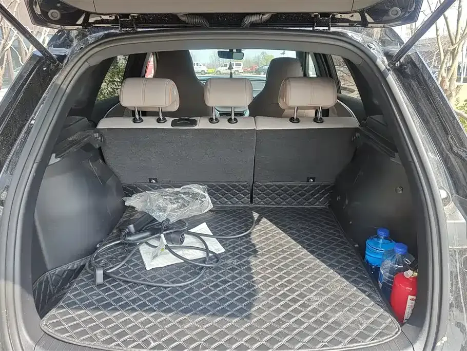 BYD Pro New Energy 2024 из CN, фото 4