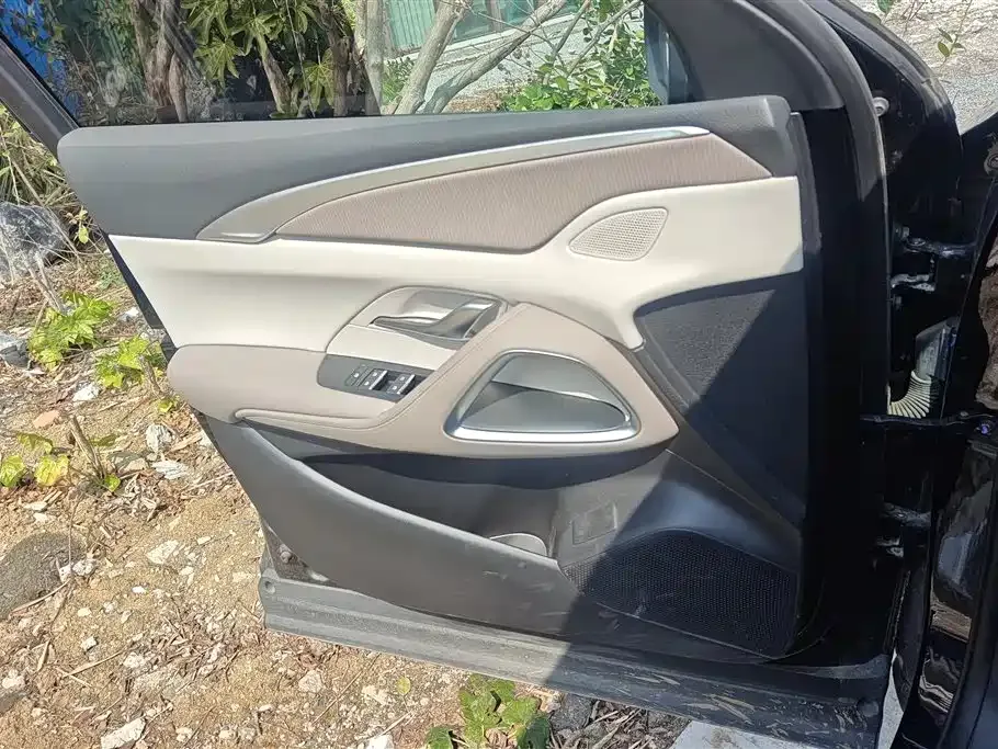 BYD Pro New Energy 2024 из CN, фото 2