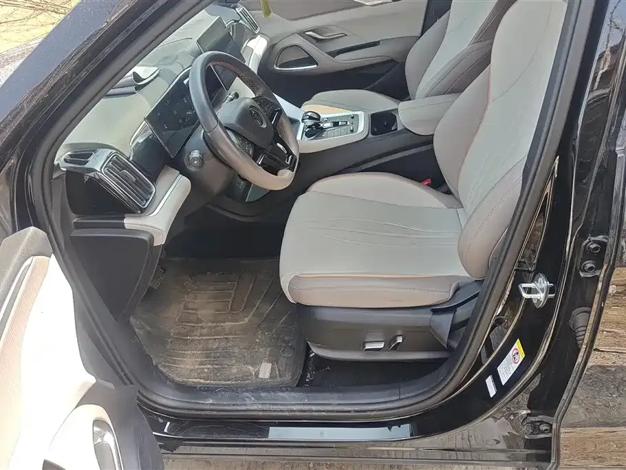 BYD Pro New Energy 2024 из CN, фото 6