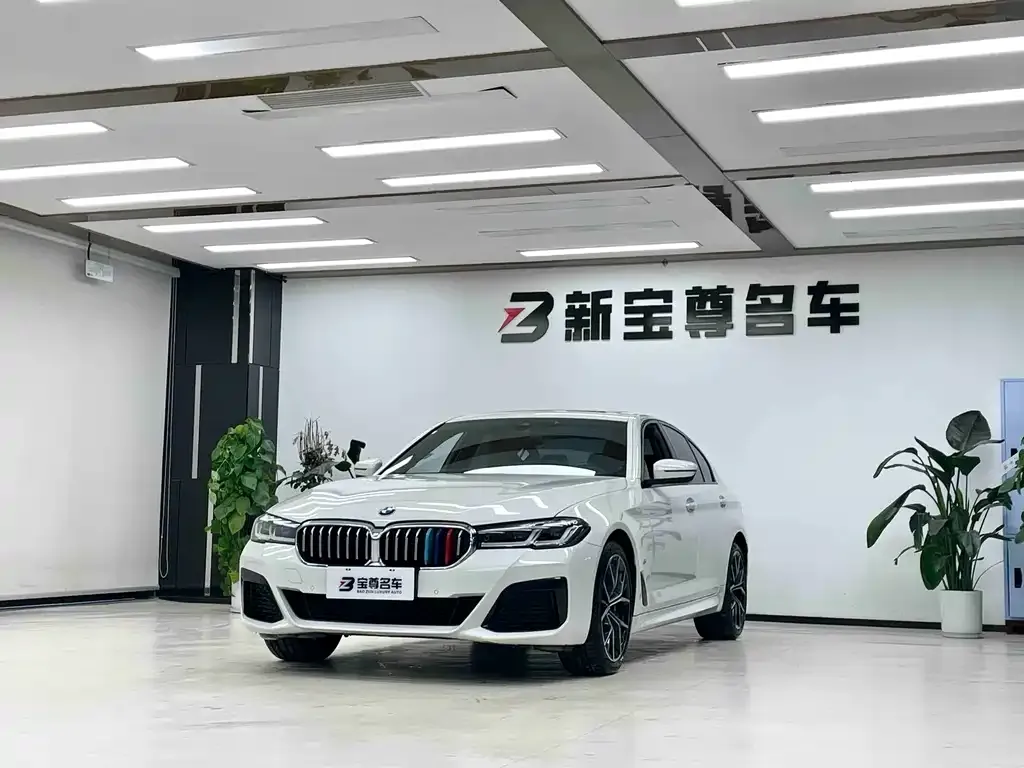 BMW 5 Series (Import) — фото 1