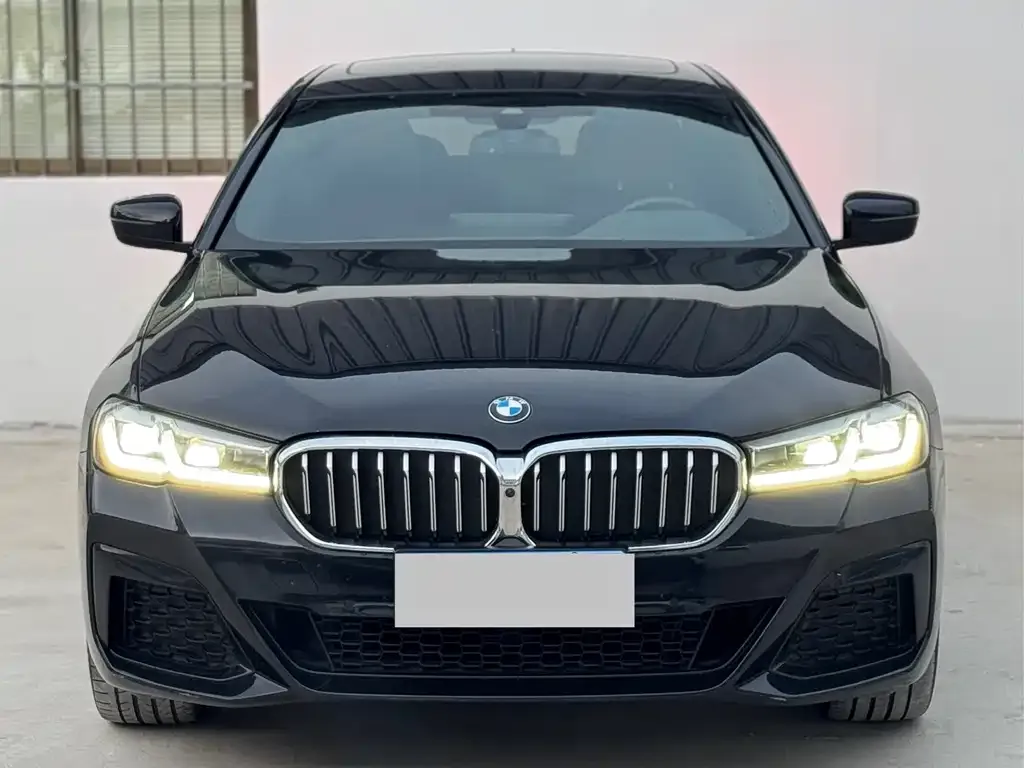 BMW 5 Series 2023 из CN, фото 3