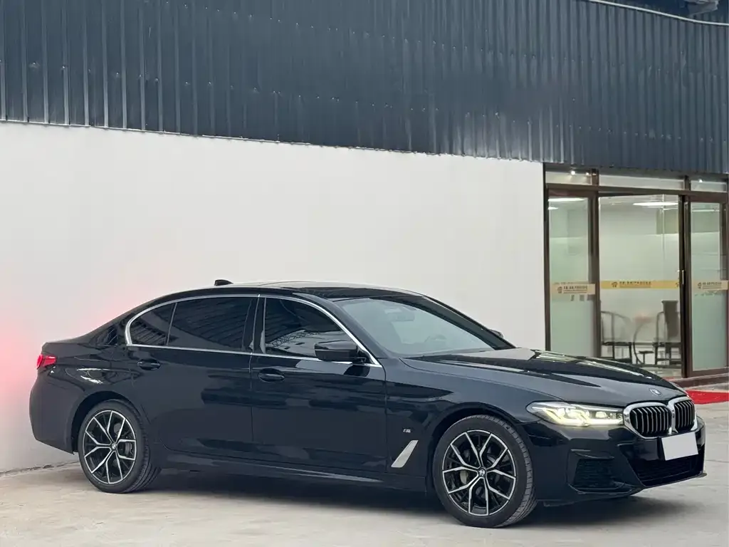 BMW 5 Series 2023 из CN, фото 4