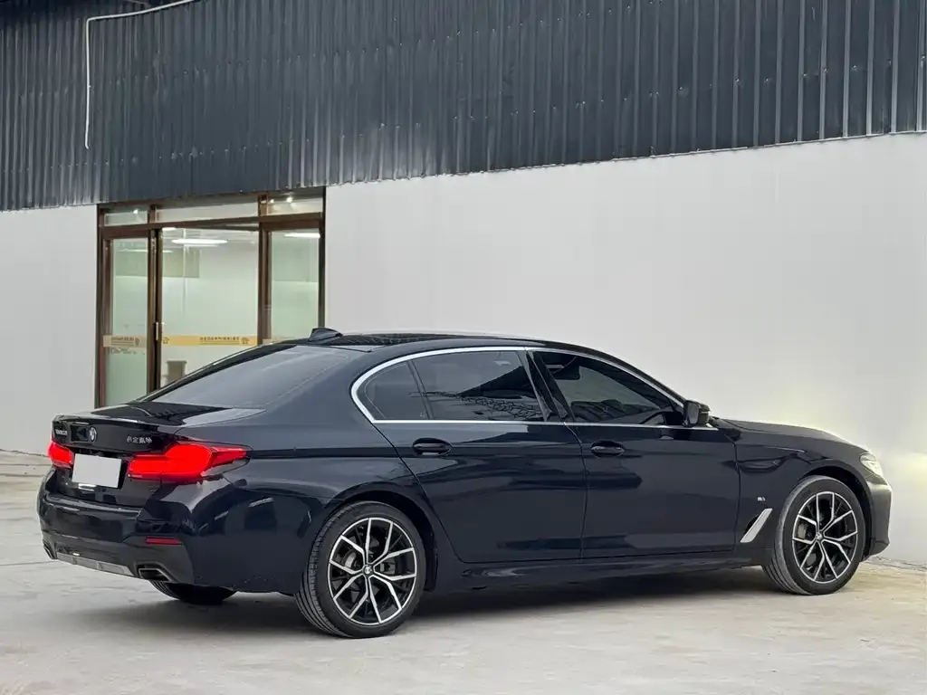 BMW 5 Series 2023 из CN, фото 2