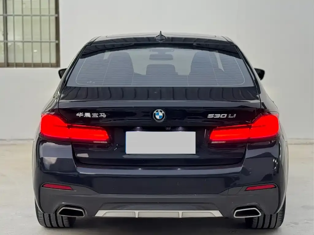 BMW 5 Series 2023 из CN, фото 6