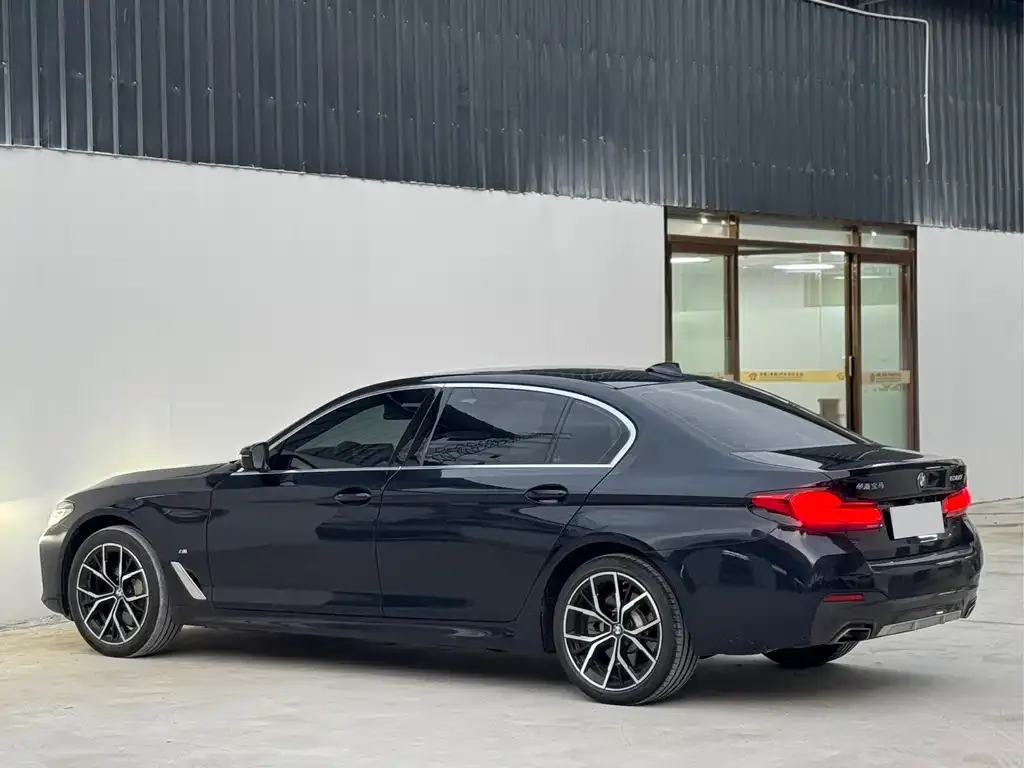 BMW 5 Series 2023 из CN, фото 5