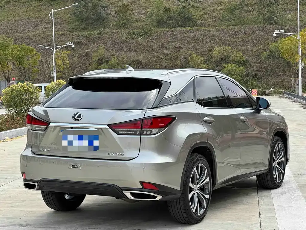 Lexus RX 2022 из CN, фото 7