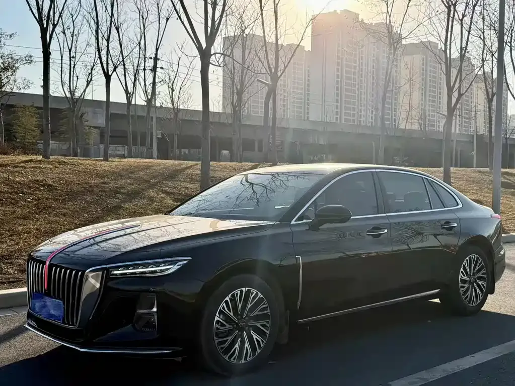 Hongqi H5 2024 из CN, фото 1