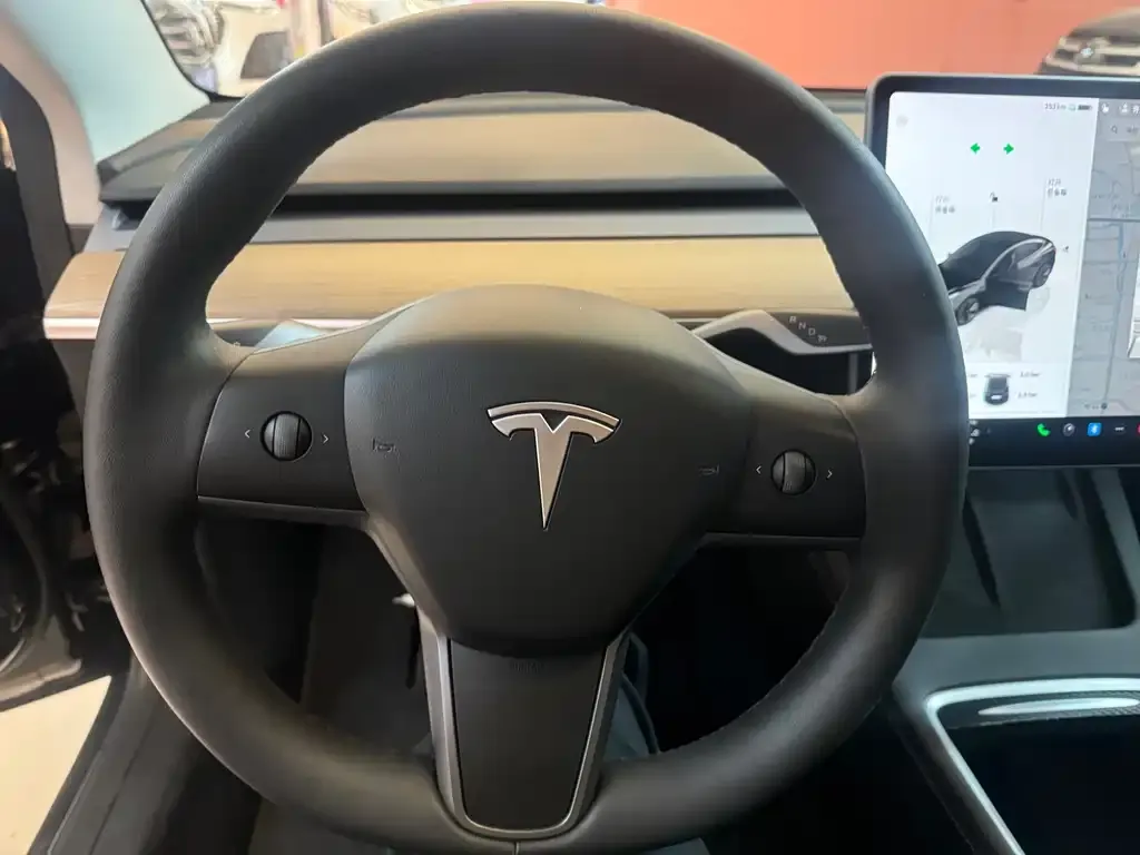 Tesla Model 3 2023 из CN, фото 2