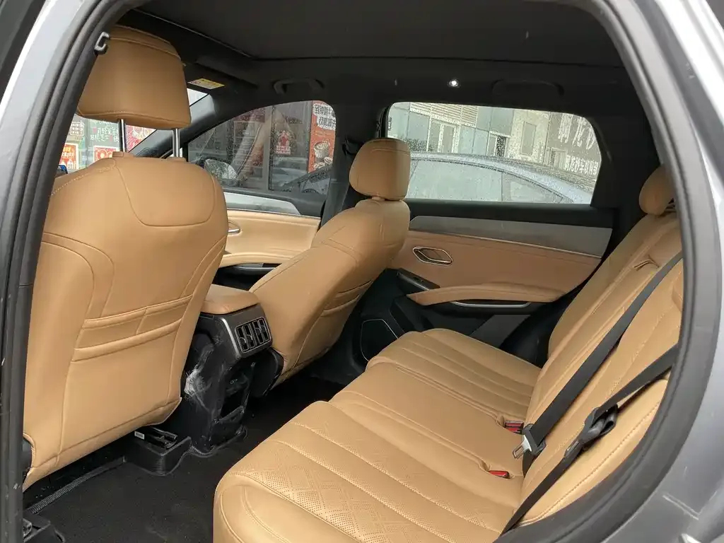 BYD L DM-i — фото 3