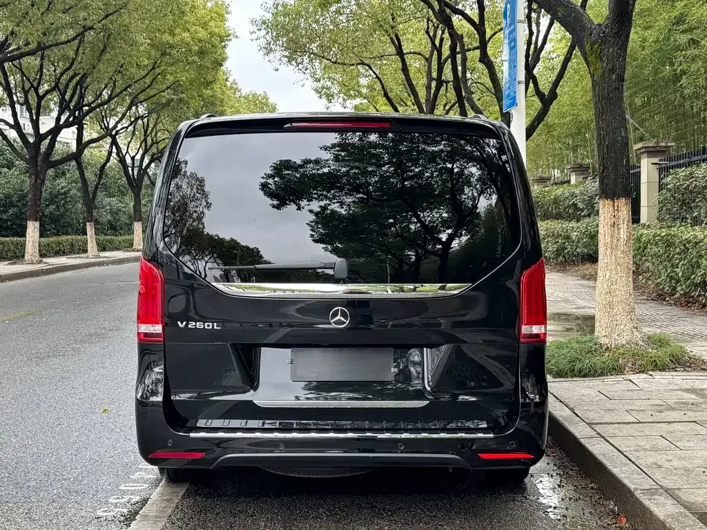 Mercedes-Benz V-Class 2022 из CN, фото 4