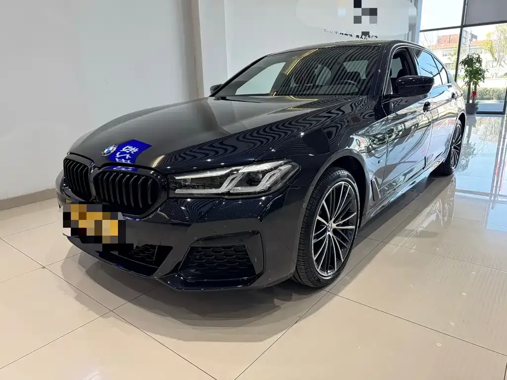 BMW 5 Series 2022 из CN, фото 1