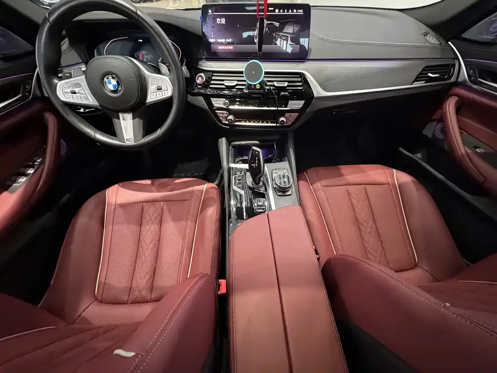 BMW 5 Series 2022 из CN, фото 6