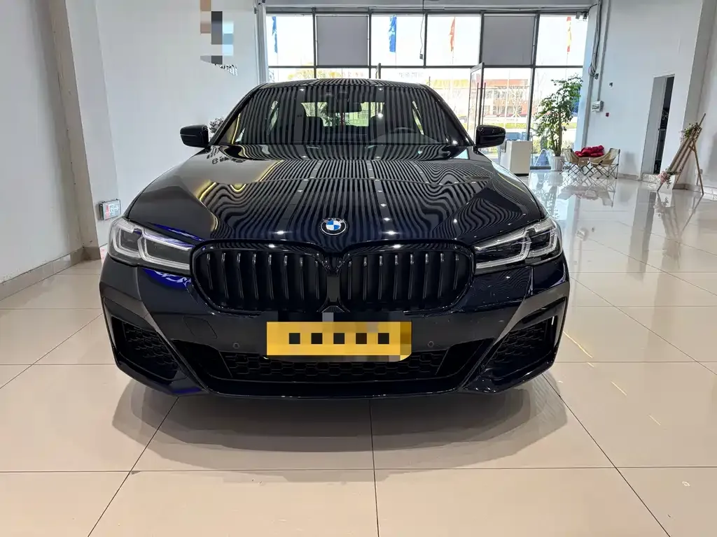 BMW 5 Series 2022 из CN, фото 5