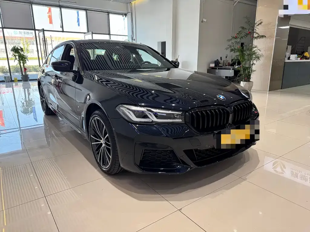BMW 5 Series 2022 из CN, фото 9
