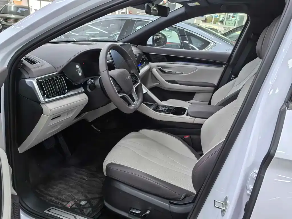 BYD PLUS New Energy — фото 4