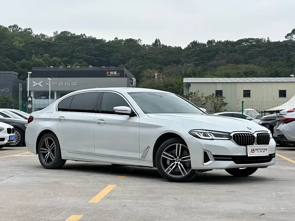BMW 5 Series 2023 из CN, фото 10
