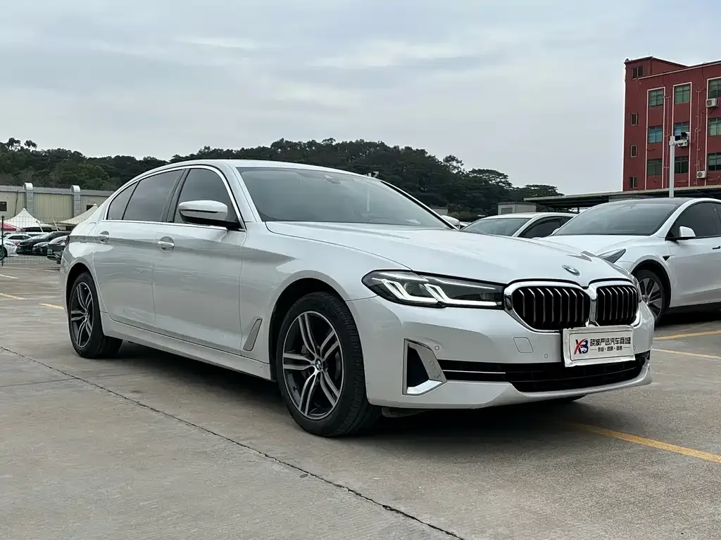 BMW 5 Series 2023 из CN, фото 5