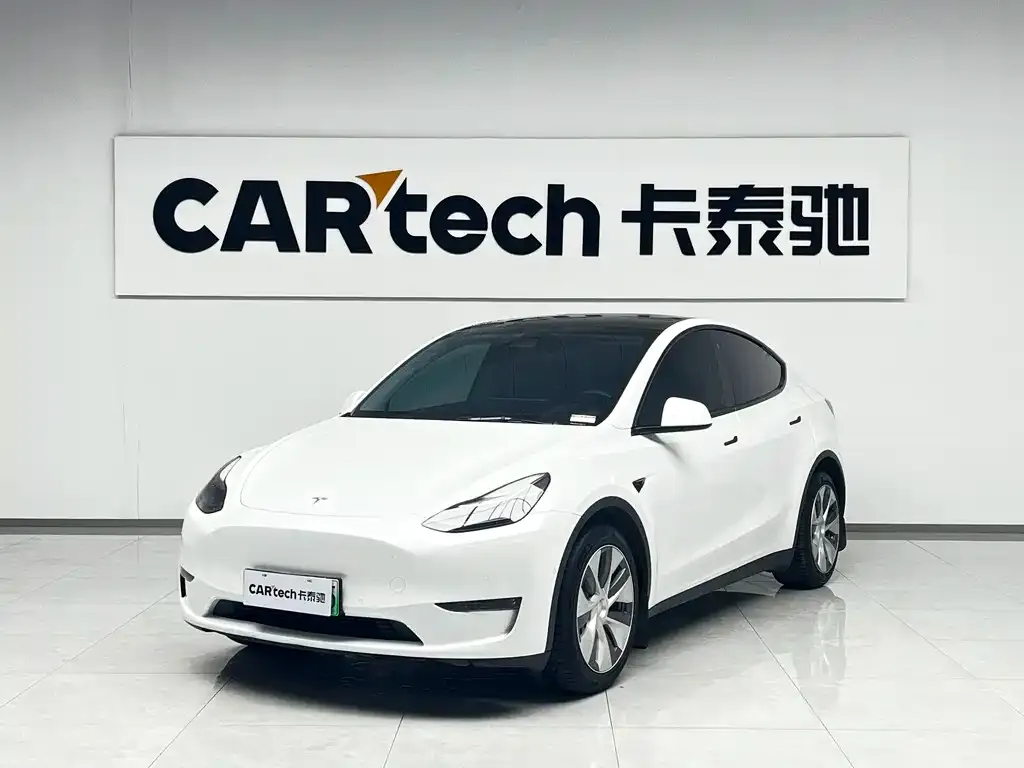 Tesla Model Y 2021 из CN, фото 1
