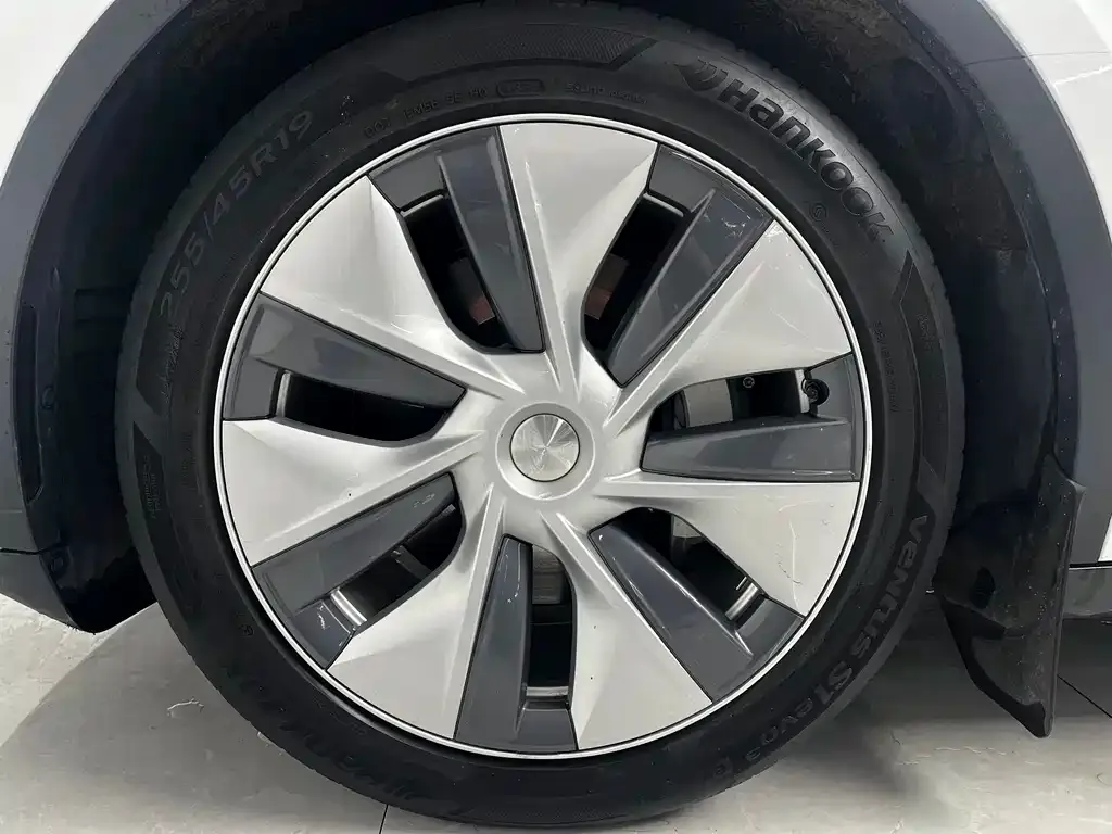 Tesla Model Y 2021 из CN, фото 7
