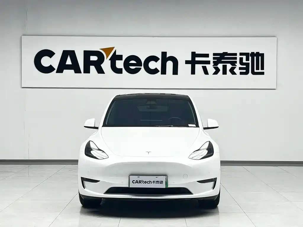 Tesla Model Y 2021 из CN, фото 2
