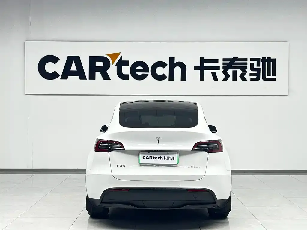 Tesla Model Y 2021 из CN, фото 3