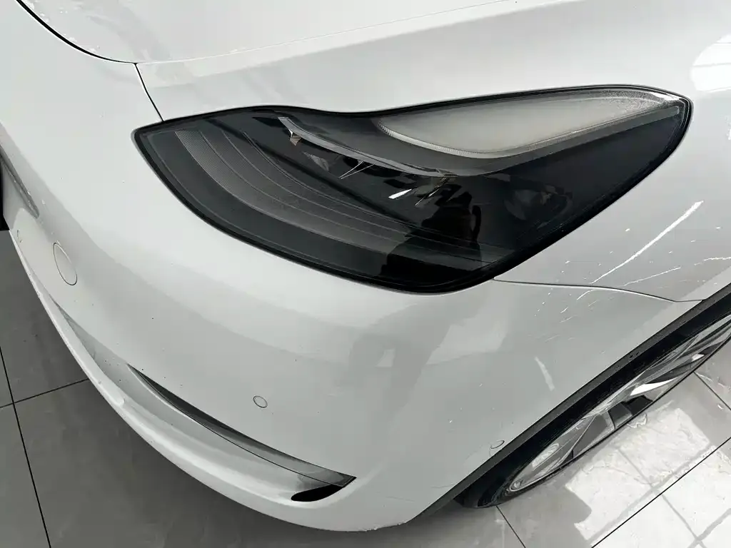 Tesla Model Y 2021 из CN, фото 6