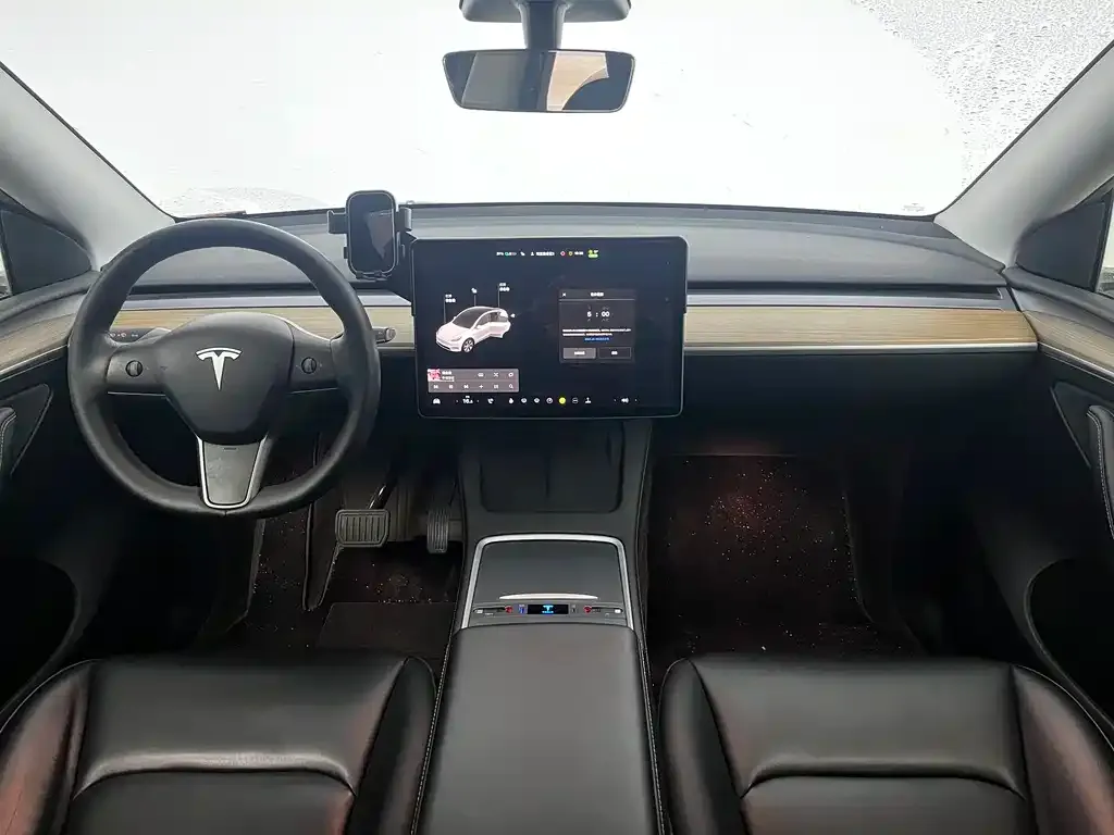 Tesla Model Y 2021 из CN, фото 4