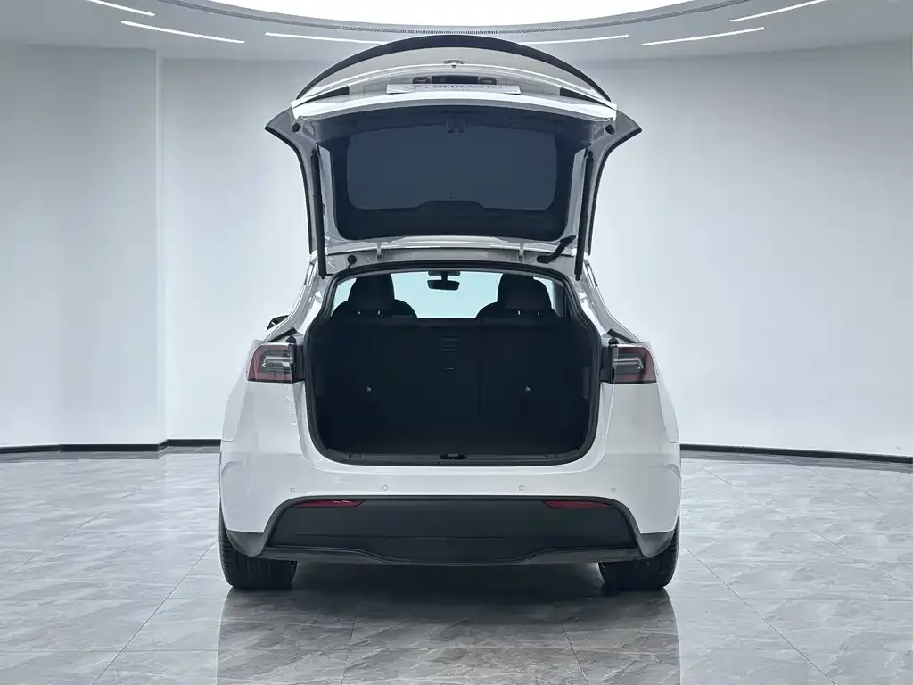 Tesla Model Y 2023 из CN, фото 2