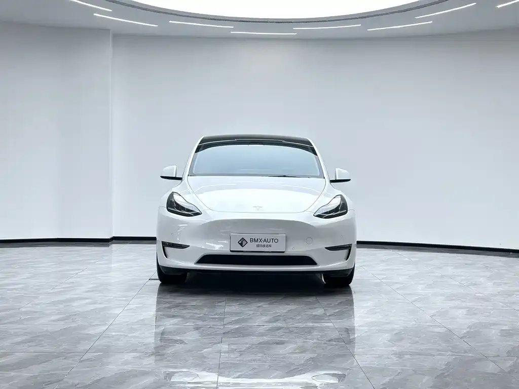 Tesla Model Y 2023 из CN, фото 7
