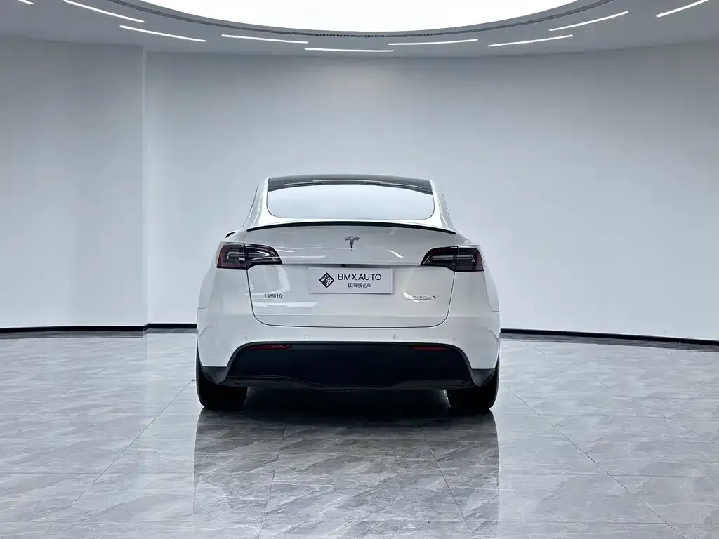 Tesla Model Y 2023 из CN, фото 8