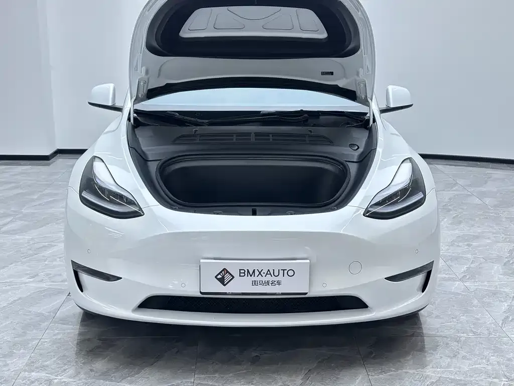 Tesla Model Y 2023 из CN, фото 10