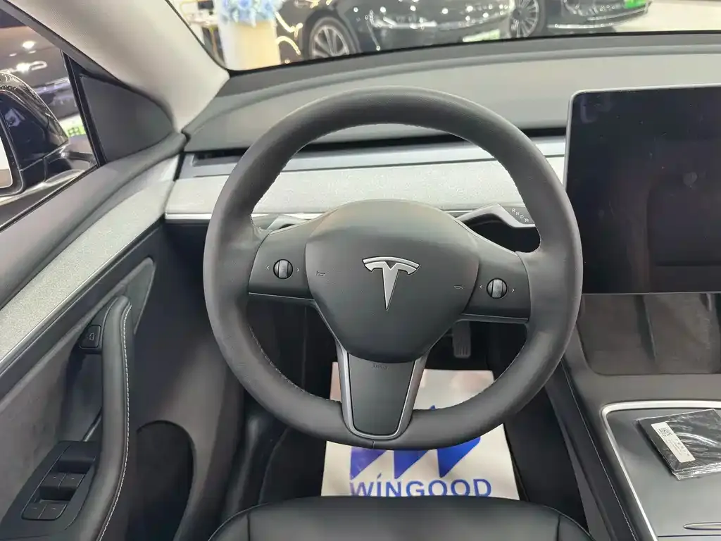 Tesla Model Y 2023 из CN, фото 9