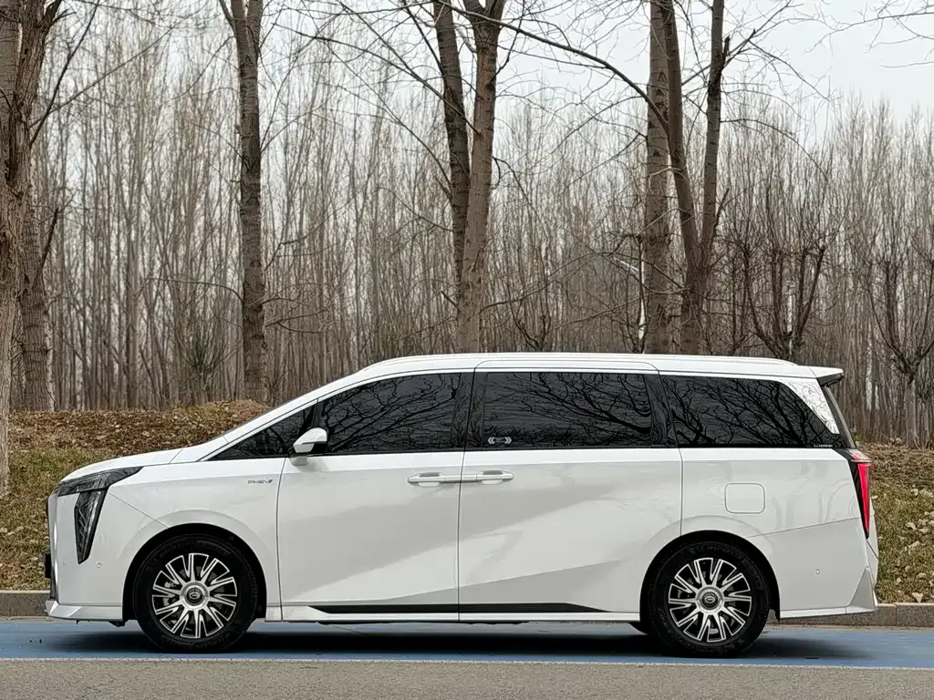 GAC Motor Trumpchi E9 — фото 10