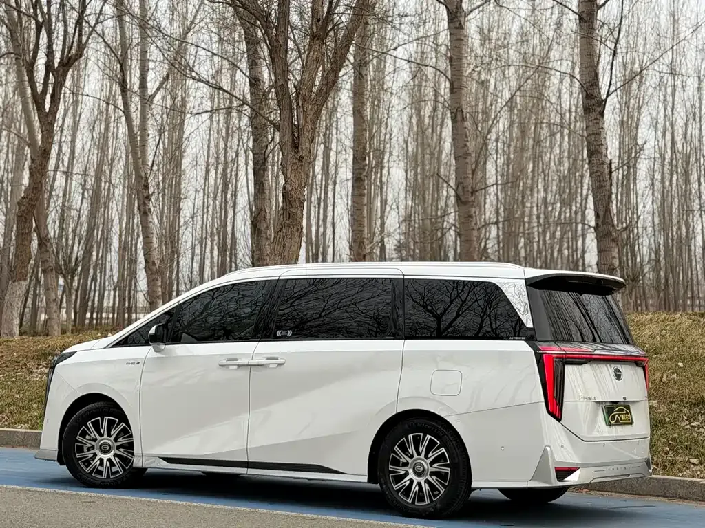 GAC Motor Trumpchi E9 — фото 8