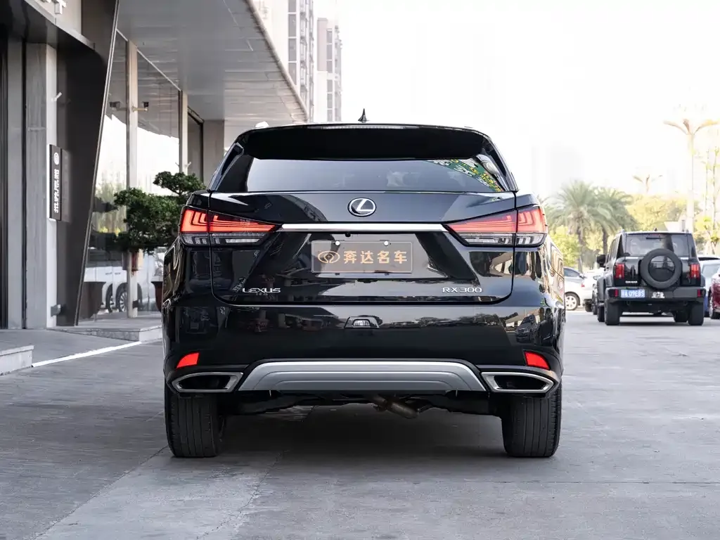 Lexus RX 2022 из CN, фото 2