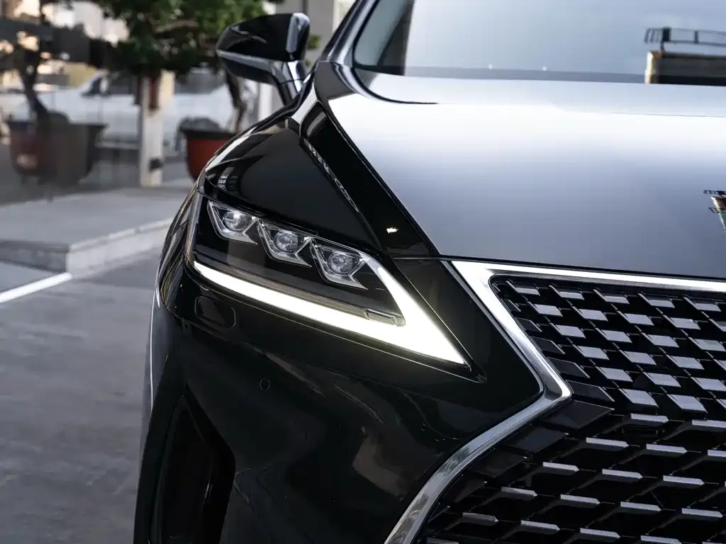 Lexus RX 2022 из CN, фото 6